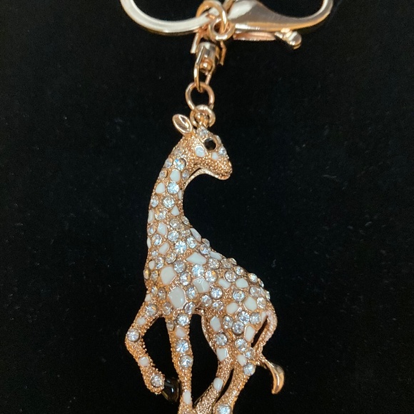 Keychain NWOT - Picture 2 of 3